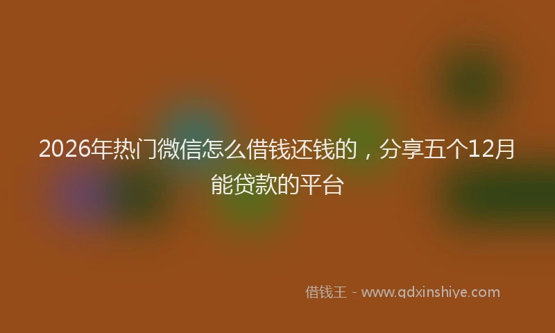 2026年热门微信怎么借钱还钱的，分享五个12月能贷款的平台