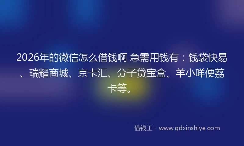2026年的微信怎么借钱啊 急需用钱有：钱袋快易、瑞耀商城、京卡汇、分子贷宝盒、羊小咩便荔卡等。
