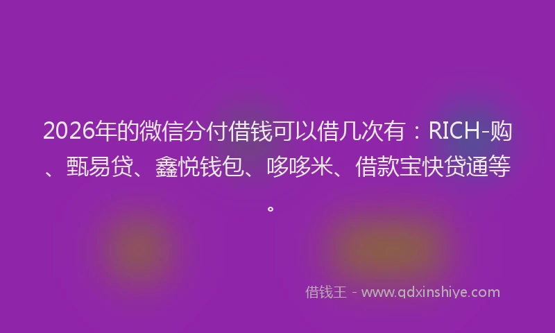 2026年的微信分付借钱可以借几次有：RICH-购、甄易贷、鑫悦钱包、哆哆米、借款宝快贷通等。