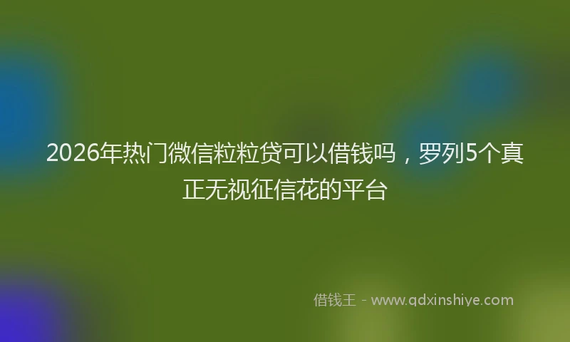 2026年热门微信粒粒贷可以借钱吗，罗列5个真正无视征信花的平台
