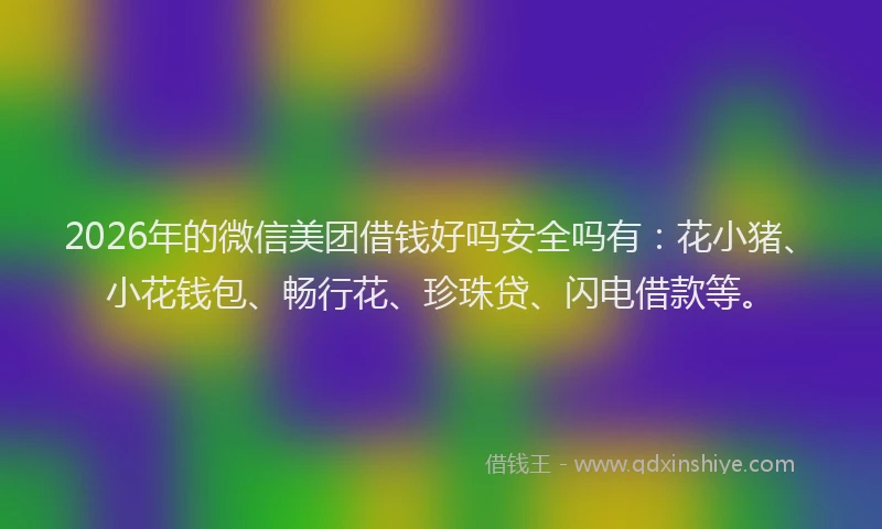 2026年的微信美团借钱好吗安全吗有:花小猪、小花钱包、畅行花、珍珠贷、闪电借款等。