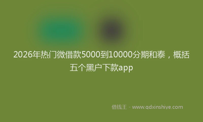 2026年热门微借款5000到10000分期和泰，概括五个黑户下款app