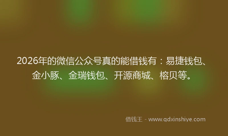 2026年的微信公众号真的能借钱有：易捷钱包、金小豚、金瑞钱包、开源商城、榕贝等。