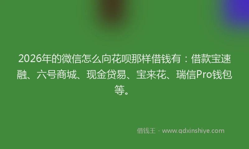2026年的微信怎么向花呗那样借钱有：借款宝速融、六号商城、现金贷易、宝来花、瑞信Pro钱包等。