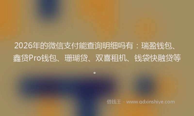 2026年的微信支付能查询明细吗有：瑞盈钱包、鑫贷Pro钱包、珊瑚贷、双喜租机、钱袋快融贷等。