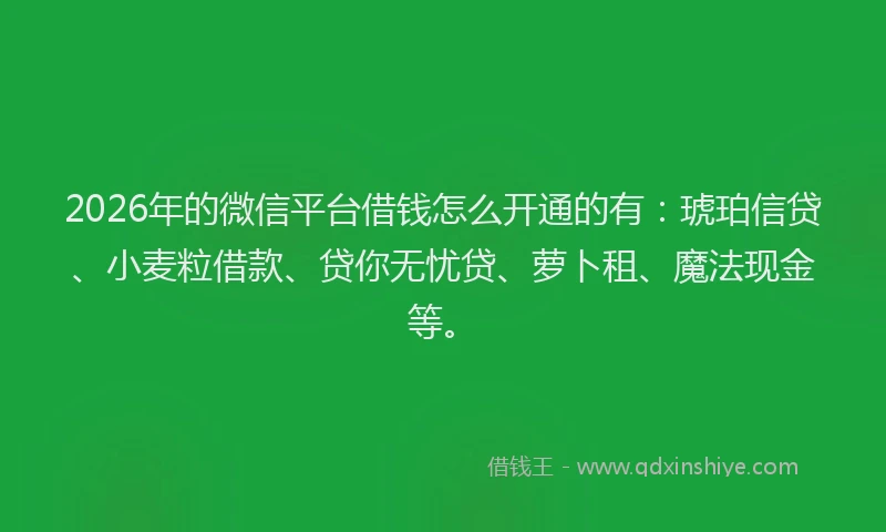 2026年的微信平台借钱怎么开通的有：琥珀信贷、小麦粒借款、贷你无忧贷、萝卜租、魔法现金等。