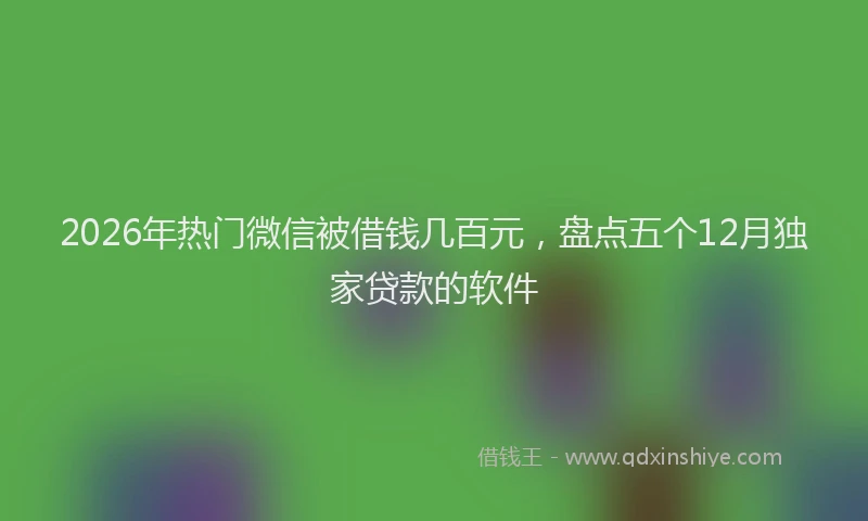 2026年热门微信被借钱几百元,盘点五个12月独家贷款的软件