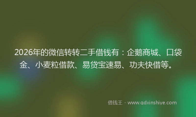 2026年的微信转转二手借钱有：企鹅商城、口袋金、小麦粒借款、易贷宝速易、功夫快借等。
