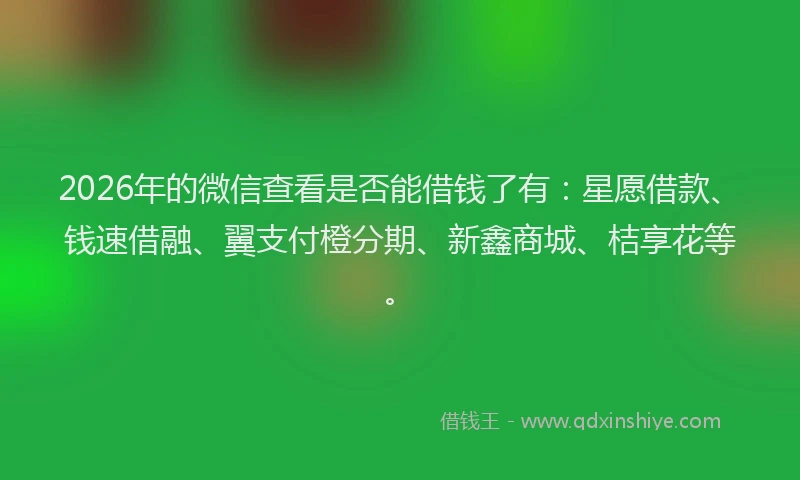 2026年的微信查看是否能借钱了有:星愿借款、钱速借融、翼支付橙分期、新鑫商城、桔享花等。