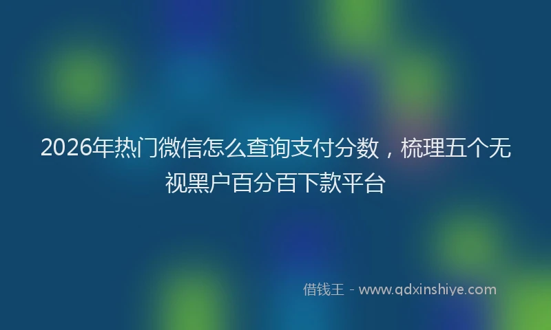 2026年热门微信怎么查询支付分数，梳理五个无视黑户百分百下款平台