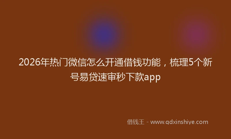 2026年热门微信怎么开通借钱功能，梳理5个新号易贷速审秒下款app