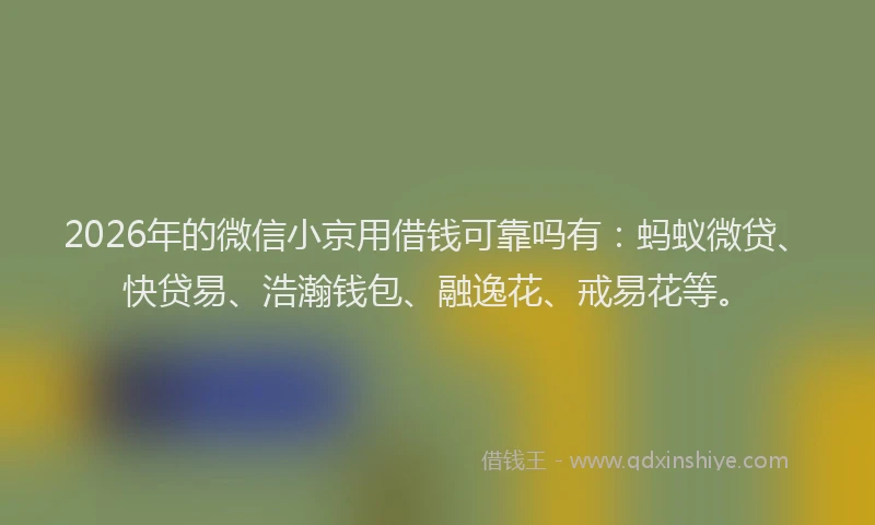 2026年的微信小京用借钱可靠吗有：蚂蚁微贷、快贷易、浩瀚钱包、融逸花、戒易花等。