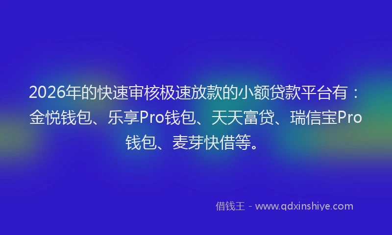 2026年的快速审核极速放款的小额贷款平台有:金悦钱包、乐享Pro钱包、天天富贷、瑞信宝Pro钱包、麦芽快借等。