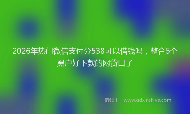 2026年热门微信支付分538可以借钱吗，整合5个黑户好下款的网贷口子