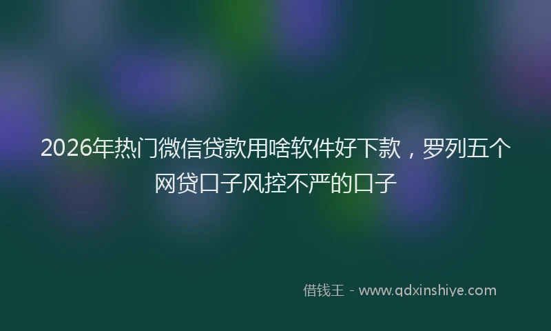 2026年热门微信贷款用啥软件好下款，罗列五个网贷口子风控不严的口子