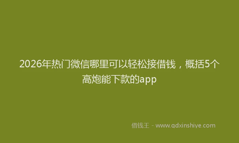 2026年热门微信哪里可以轻松接借钱，概括5个高炮能下款的app