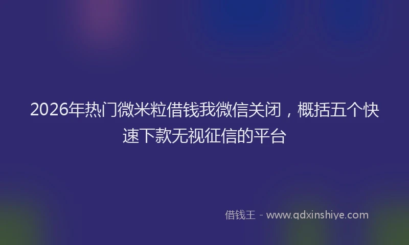 2026年热门微米粒借钱我微信关闭，概括五个快速下款无视征信的平台