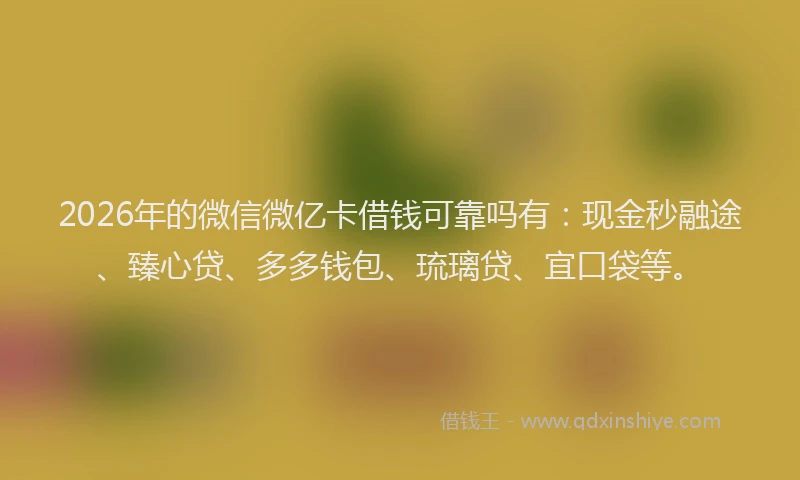 2026年的微信微亿卡借钱可靠吗有：现金秒融途、臻心贷、多多钱包、琉璃贷、宜口袋等。