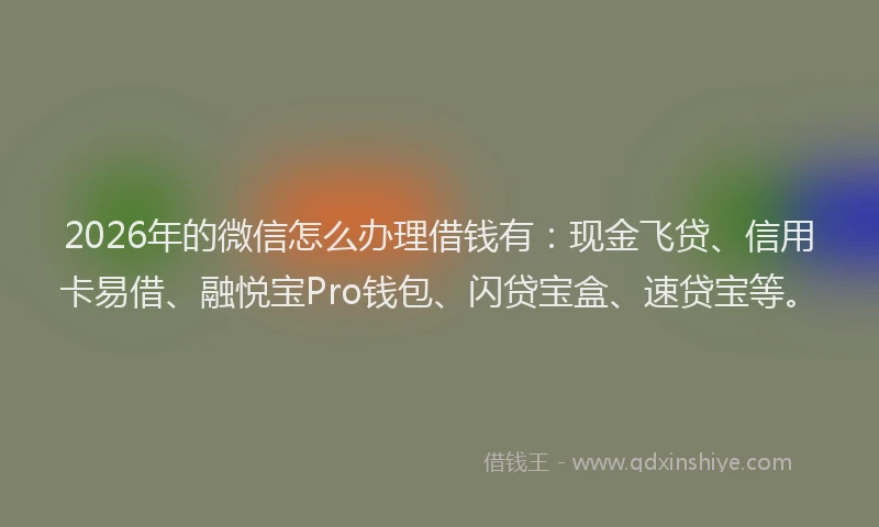2026年的微信怎么办理借钱有:现金飞贷、信用卡易借、融悦宝Pro钱包、闪贷宝盒、速贷宝等。