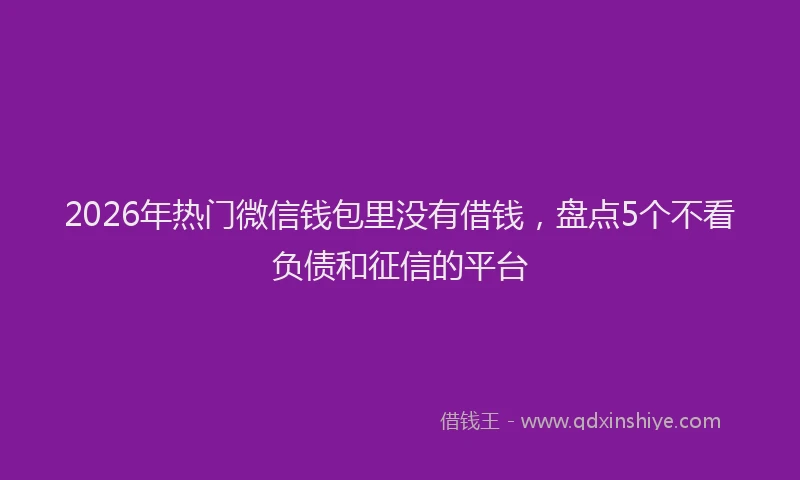 2026年热门微信钱包里没有借钱，盘点5个不看负债和征信的平台