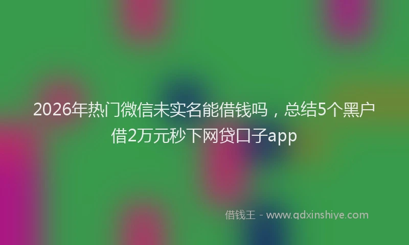 2026年热门微信未实名能借钱吗，总结5个黑户借2万元秒下网贷口子app