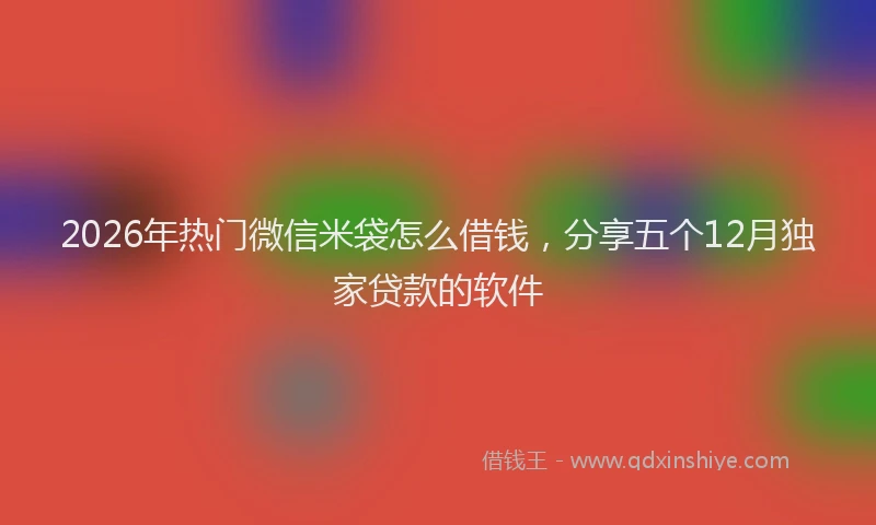 2026年热门微信米袋怎么借钱，分享五个12月独家贷款的软件