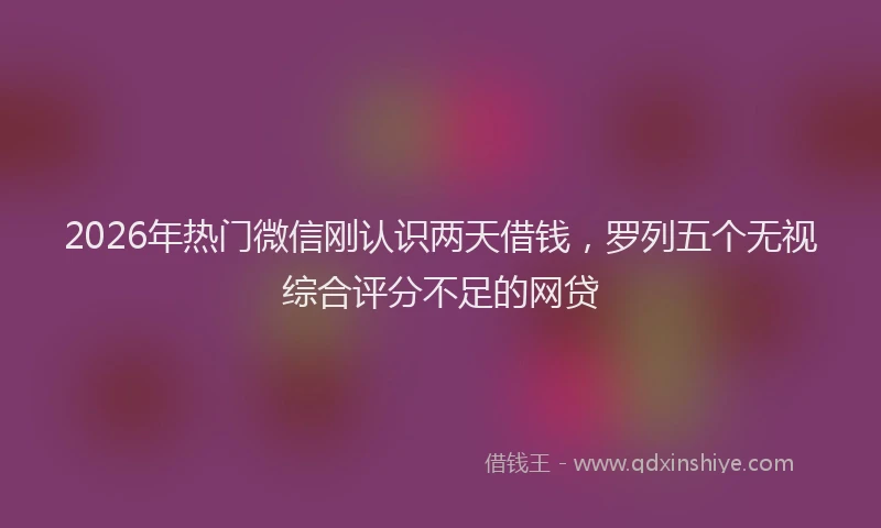 2026年热门微信刚认识两天借钱，罗列五个无视综合评分不足的网贷