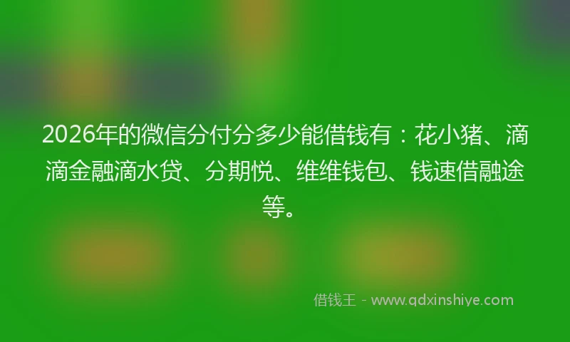 2026年的微信分付分多少能借钱有:花小猪、滴滴金融滴水贷、分期悦、维维钱包、钱速借融途等。