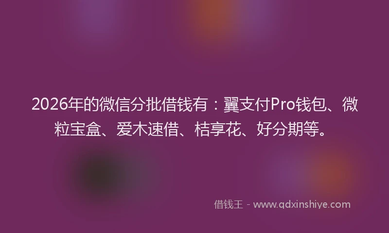 2026年的微信分批借钱有：翼支付Pro钱包、微粒宝盒、爱木速借、桔享花、好分期等。