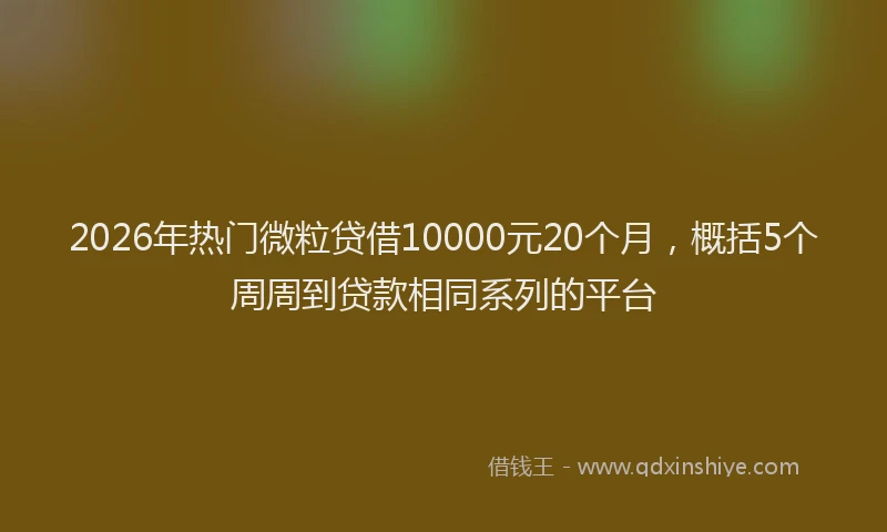 2026年热门微粒贷借10000元20个月，概括5个周周到贷款相同系列的平台