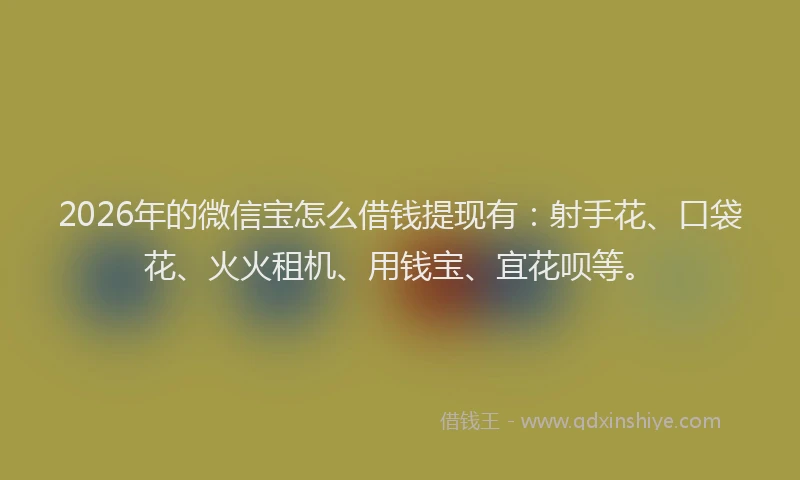 2026年的微信宝怎么借钱提现有：射手花、口袋花、火火租机、用钱宝、宜花呗等。