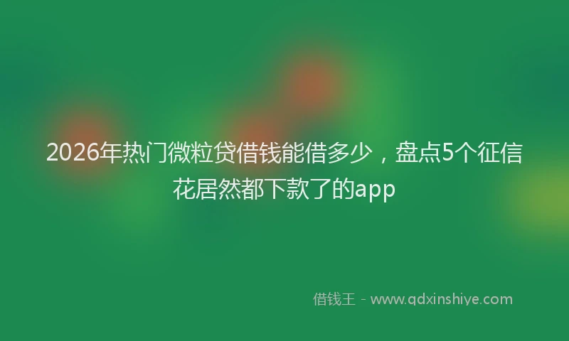 2026年热门微粒贷借钱能借多少，盘点5个征信花居然都下款了的app
