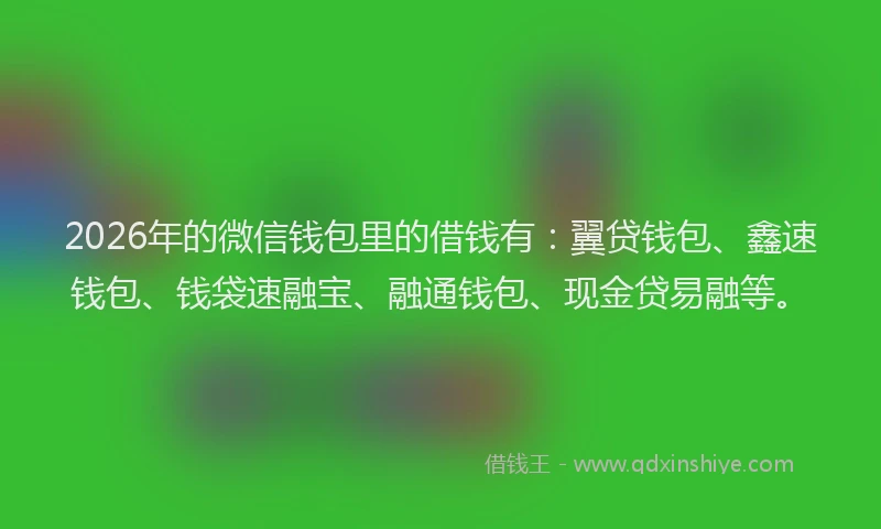 2026年的微信钱包里的借钱有:翼贷钱包、鑫速钱包、钱袋速融宝、融通钱包、现金贷易融等。