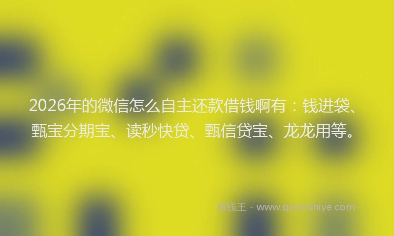 2026年的微信怎么自主还款借钱啊有：钱进袋、甄宝分期宝、读秒快贷、甄信贷宝、龙龙用等。