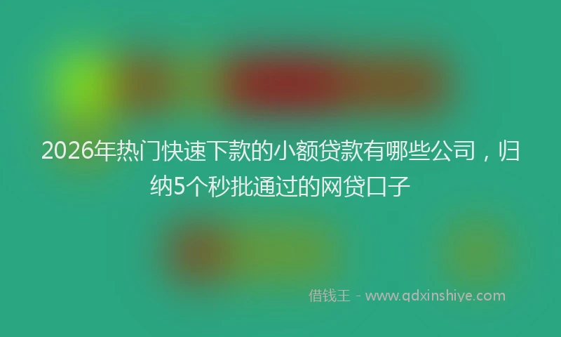 2026年热门快速下款的小额贷款有哪些公司，归纳5个秒批通过的网贷口子