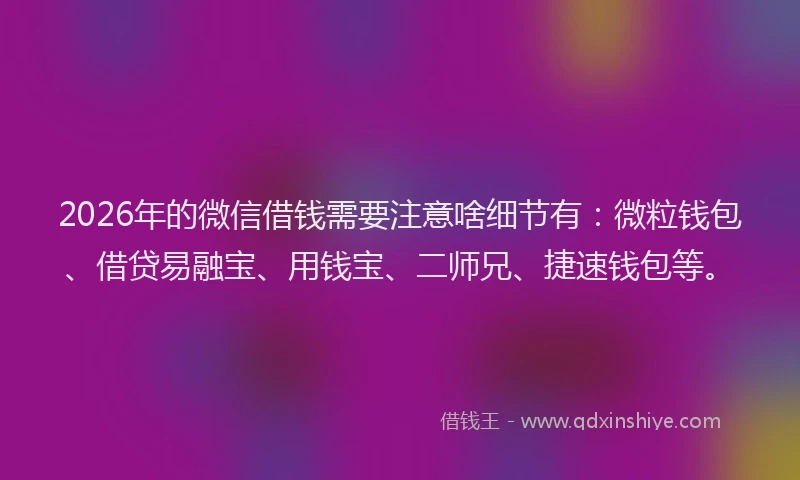 2026年的微信借钱需要注意啥细节有：微粒钱包、借贷易融宝、用钱宝、二师兄、捷速钱包等。