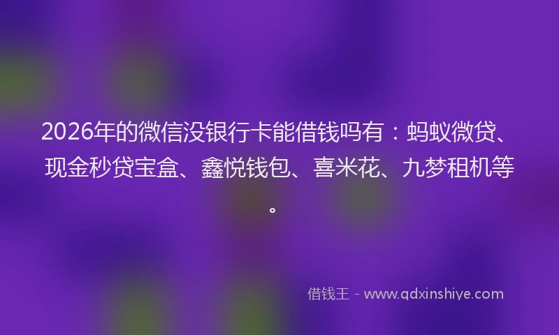 2026年的微信没银行卡能借钱吗有：蚂蚁微贷、现金秒贷宝盒、鑫悦钱包、喜米花、九梦租机等。