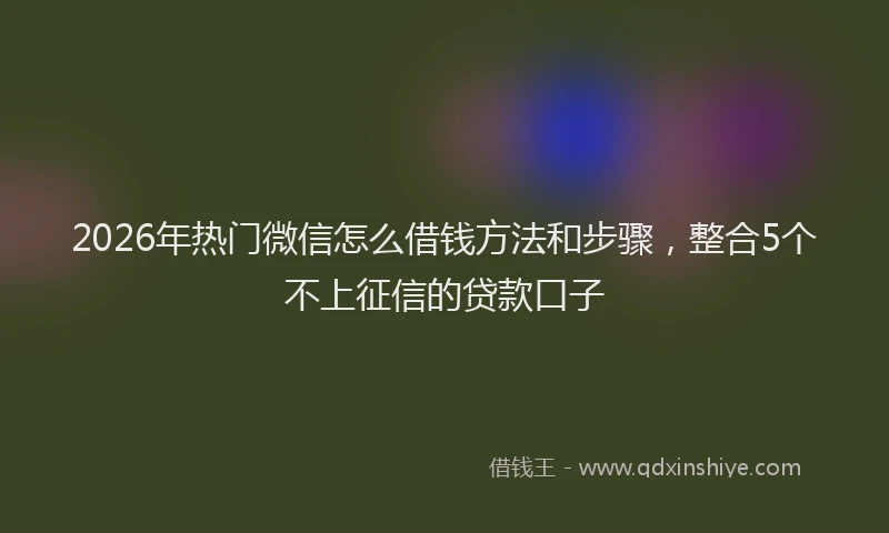 2026年热门微信怎么借钱方法和步骤，整合5个不上征信的贷款口子