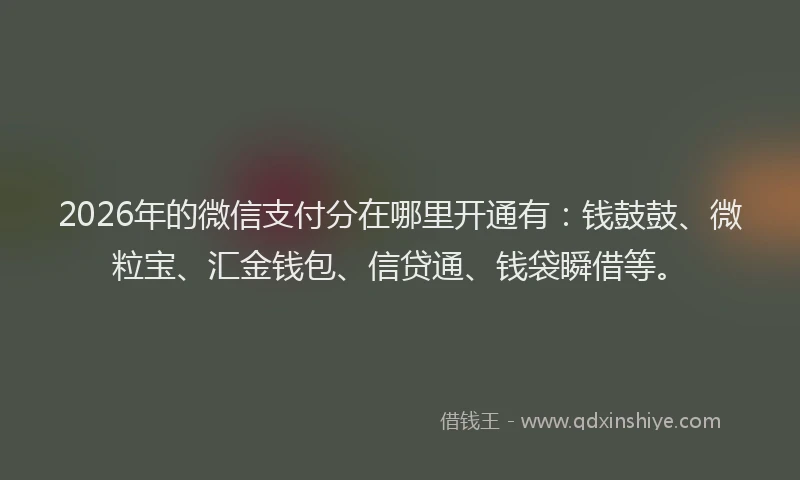 2026年的微信支付分在哪里开通有：钱鼓鼓、微粒宝、汇金钱包、信贷通、钱袋瞬借等。