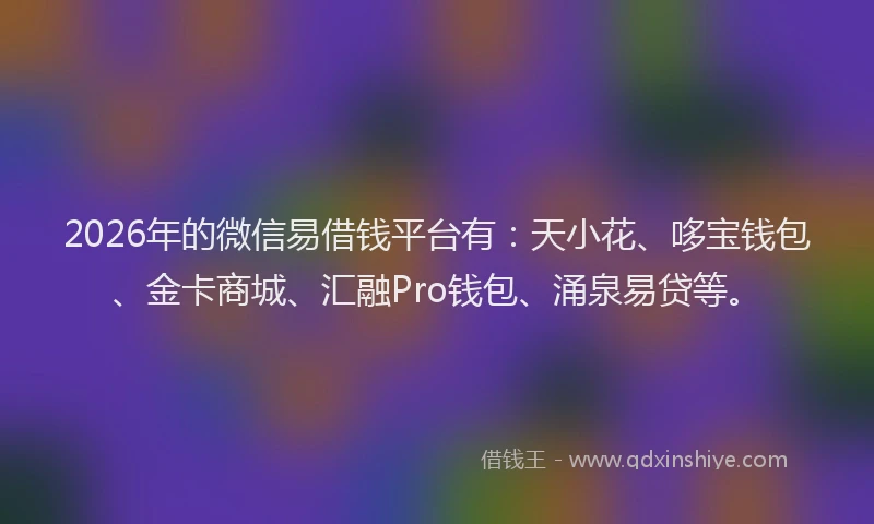 2026年的微信易借钱平台有：天小花、哆宝钱包、金卡商城、汇融Pro钱包、涌泉易贷等。