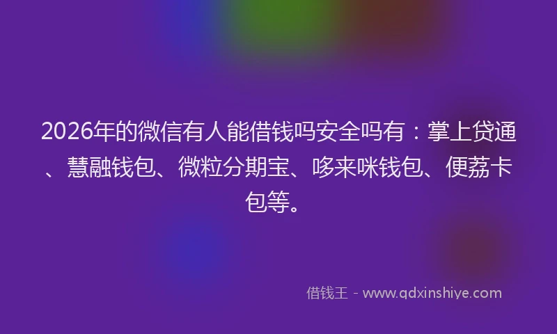 2026年的微信有人能借钱吗安全吗有：掌上贷通、慧融钱包、微粒分期宝、哆来咪钱包、便荔卡包等。