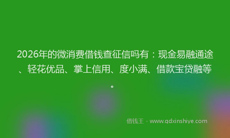 2026年的微消费借钱查征信吗有：现金易融通途、轻花优品、掌上信用、度小满、借款宝贷融等。