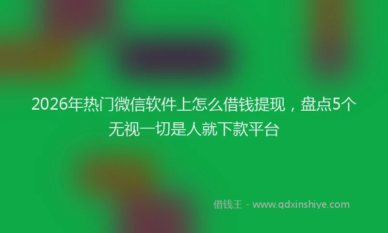 2026年热门微信软件上怎么借钱提现，盘点5个无视一切是人就下款平台