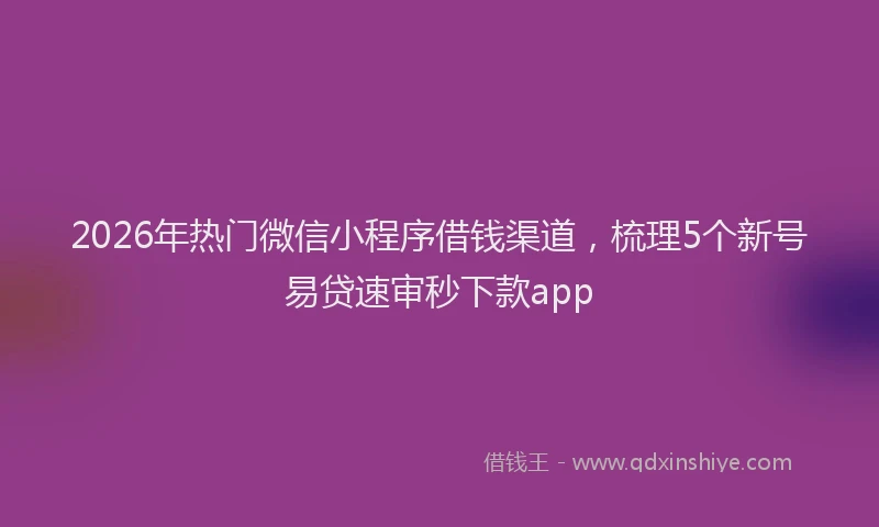 2026年热门微信小程序借钱渠道，梳理5个新号易贷速审秒下款app