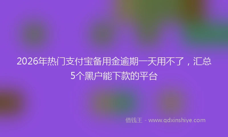 2026年热门支付宝备用金逾期一天用不了，汇总5个黑户能下款的平台