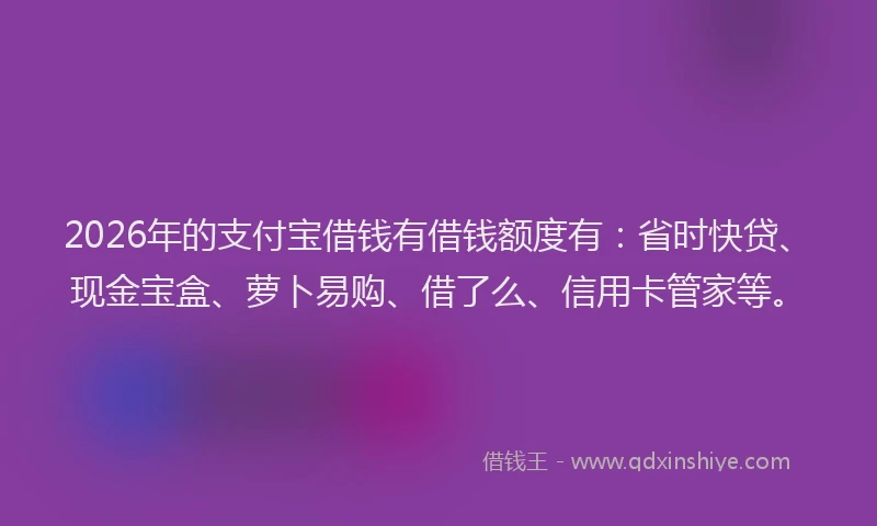 2026年的支付宝借钱有借钱额度有：省时快贷、现金宝盒、萝卜易购、借了么、信用卡管家等。