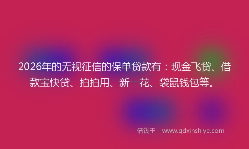 2026年的无视征信的保单贷款有：现金飞贷、借款宝快贷、拍拍用、新一花、袋鼠钱包等。