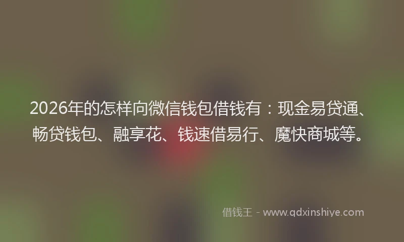 2026年的怎样向微信钱包借钱有：现金易贷通、畅贷钱包、融享花、钱速借易行、魔快商城等。
