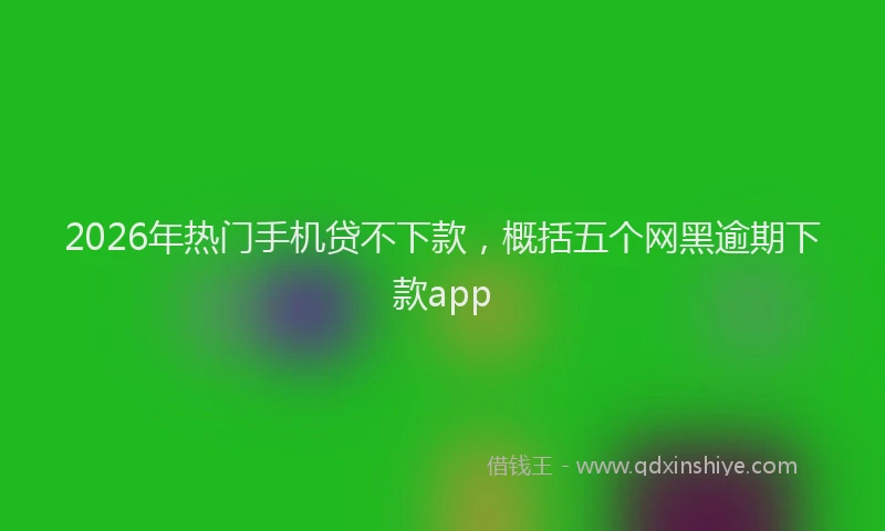 2026年热门手机贷不下款，概括五个网黑逾期下款app