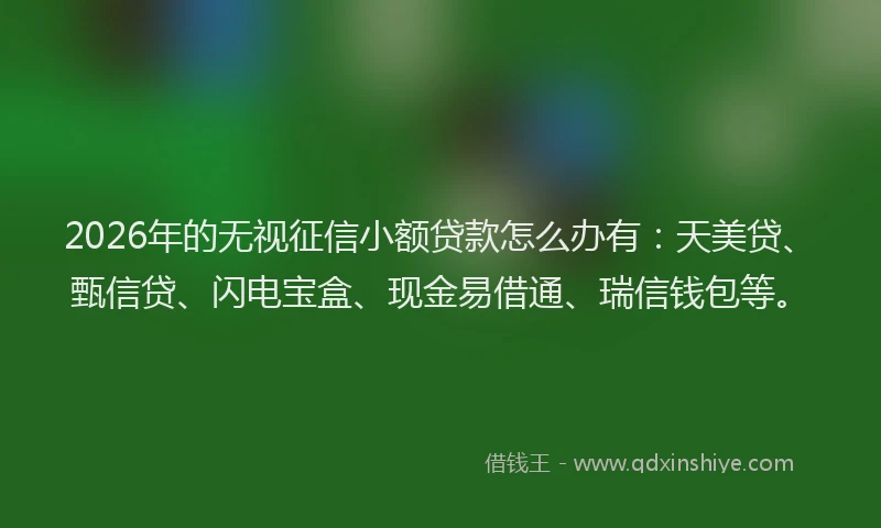 2026年的无视征信小额贷款怎么办有：天美贷、甄信贷、闪电宝盒、现金易借通、瑞信钱包等。